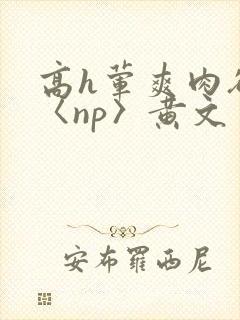 高h荤爽肉欲文〈np〉黄文