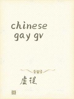 chinese gay gv