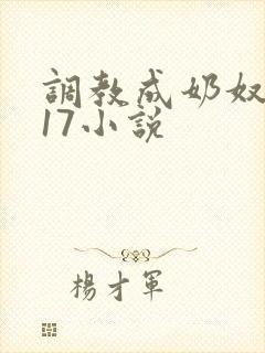 调教成奶奴1～17小说