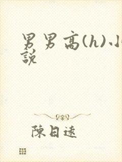 男男高(h)小说