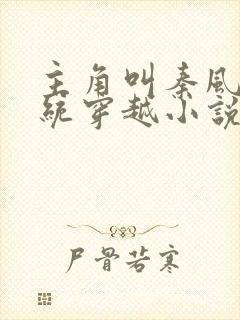 主角叫秦风的系统穿越小说