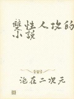 双性人攻的高h小说