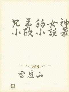 兄弟的女神女友小欣小说最新章节更