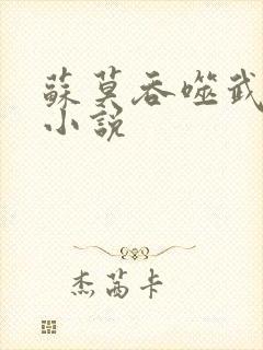 苏莫吞噬武魂 小说