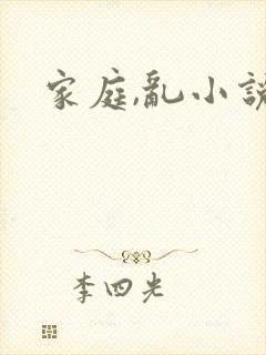 家庭,乱小说