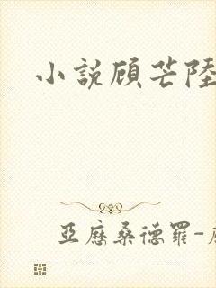 小说顾芒陆承洲