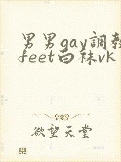 男男gay调教feet白袜vk