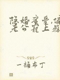 隐婚蜜爱,偏执老公宠上瘾封面