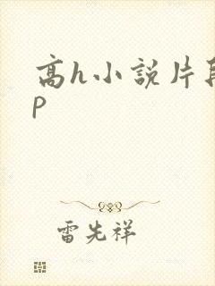 高h小说片段np