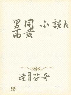 男同 小说h 高黄