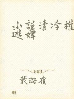 小说清冷权臣的逃婢