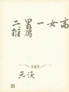 二男一女高h文推荐