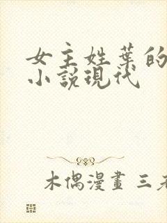 女主姓叶的重生小说现代封面