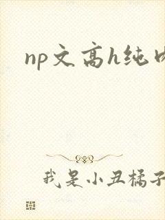 np文高h纯肉