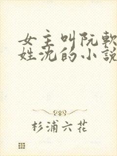 女主叫阮软男主姓沈的小说