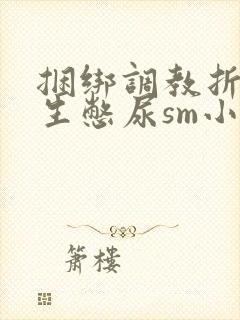 捆绑调教折磨女生憋尿sm小说