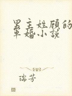 男主姓顾的所有军婚小说