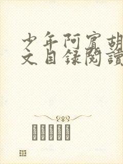 少年阿宾胡太全文目录阅读在线