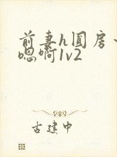 前妻h圆房～h嗯啊1v2