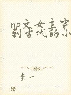 np文女主穿越到古代的小说一开始是屠