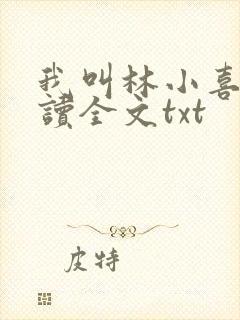 我叫林小喜全阅读全文txt封面