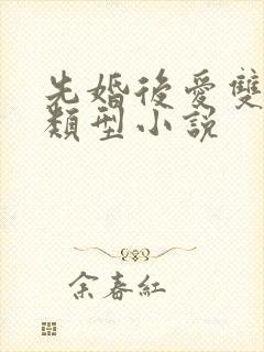 先婚后爱双男主类型小说