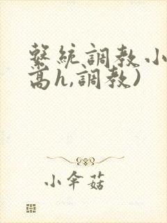 系统调教小说(高h,调教)