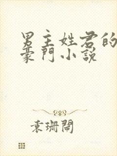 男主姓君的现代豪门小说