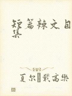 短篇辣文目录合集