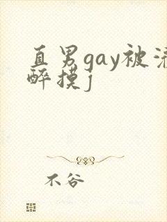 直男gay被灌醉摸j封面