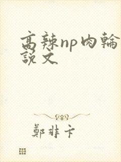 高辣np肉轮小说文