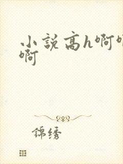 小说高h啊啊啊啊