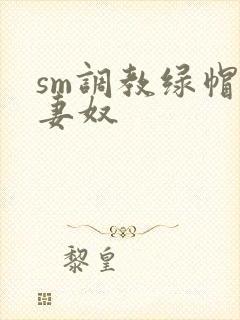 sm调教绿帽夫妻奴封面