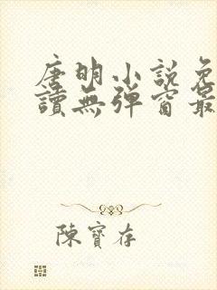 唐明小说免费阅读无弹窗最新章节下载