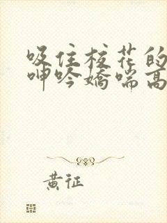 吸住校花的奶头呻吟娇喘高潮小说