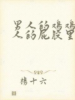 男人的鸡鸡插女人的屁股里