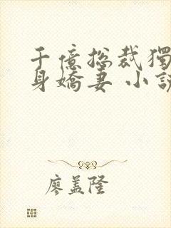 千亿总裁独宠替身娇妻 小说完整