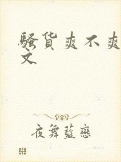 骚货爽不爽高h文