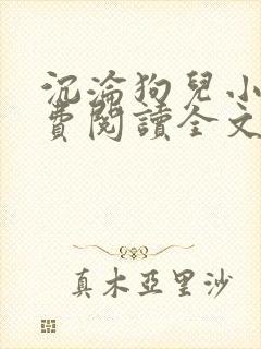 沉沦狗儿小说免费阅读全文最新章节封面