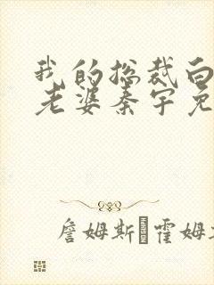 我的总裁白富美老婆秦宇免费阅读全文小说