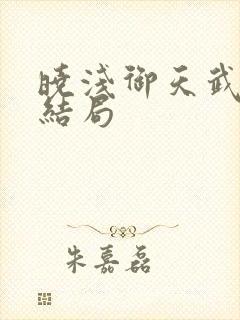 晓浅御天武帝大结局