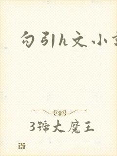 勾引h文小说封面