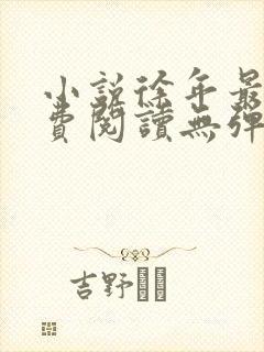 小说徐年最新免费阅读无弹窗全文