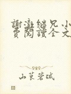 谢澈继兄小说免费阅读全文无弹窗