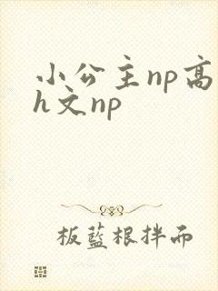 小公主np高辣h文np