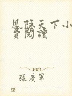 凤隐天下小说免费阅读