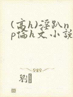 (高h)淫趴np伦h文小说