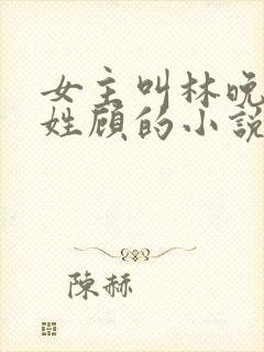 女主叫林晚男主姓顾的小说