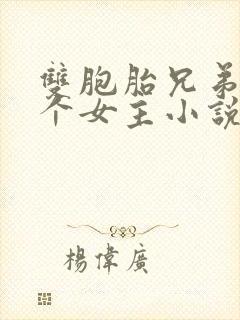 双胞胎兄弟和一个女主小说封面