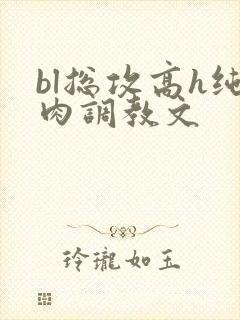 bl总攻高h纯肉调教文